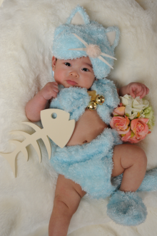 華ちゃんのブログ